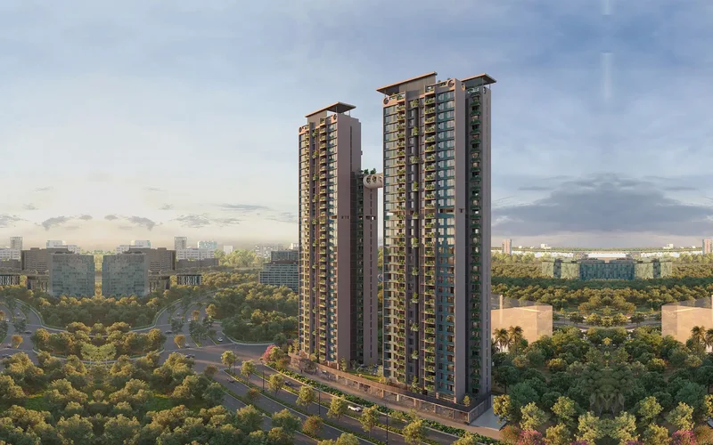 accolade - Vital space